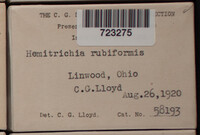 Image Associated With the Occurence